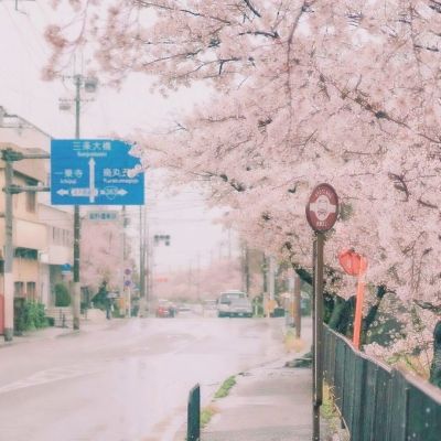 暴雨黄色预警：5省区部分地区有大到暴雨 云南广西局地大暴雨