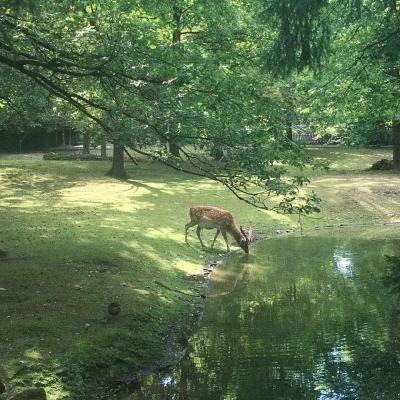 广西兴业县：“四抓四提”破解“四大难题”建强村级干部队伍 赋能乡村全面振兴