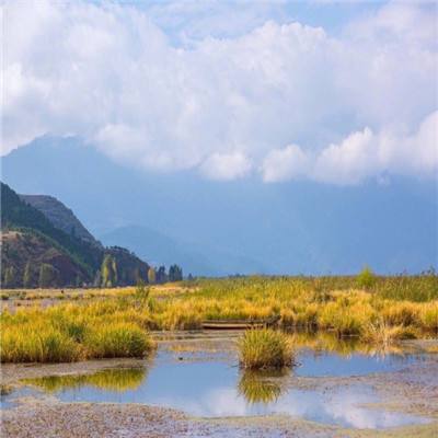 景区禁止游客吃泡面