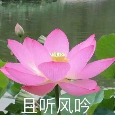 如何评价《恋与深空》流水登顶 iOS 畅销总榜第一？