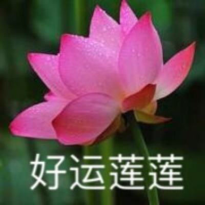 拓渠引水蓄动能