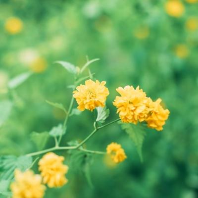 力促中欧绿色能源合作 中石油首次将生物航煤打入欧洲市场