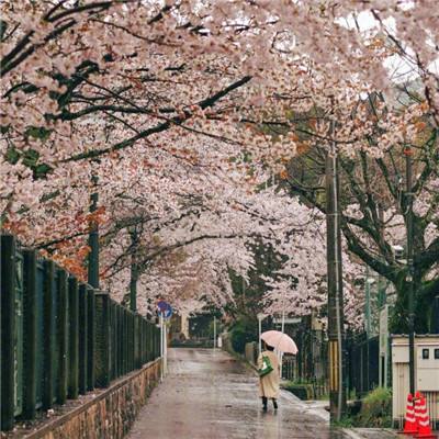 宁夏实施地质灾害避险搬迁工程